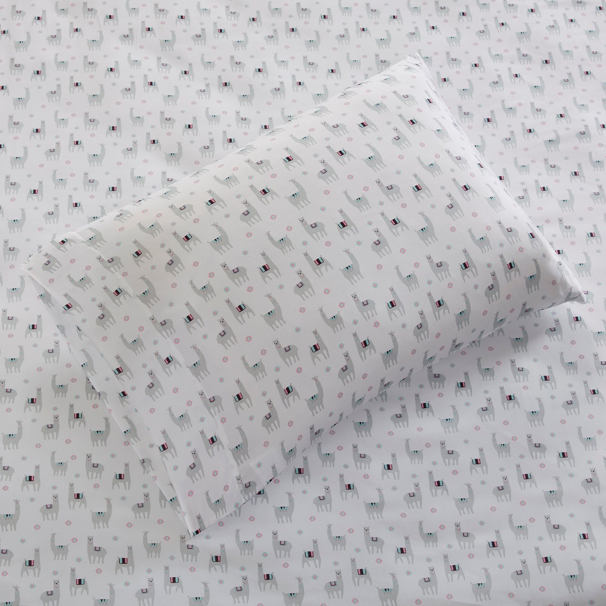 Intelligent Design Print Sheet Set